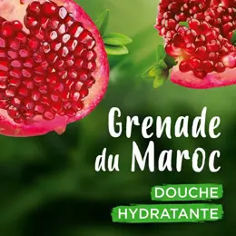 Ushuaïa Douche Certifiée Bio Grenade 250ml