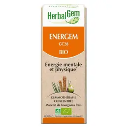 Herbalgem Complexe de Gemmothérapie Energem Energié Mentale Physique Bio 30ml