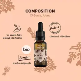 Biofloral Fleur De Bach 13 Gorse Ajonc Compte Gouttes Bio Demeter 20 ml