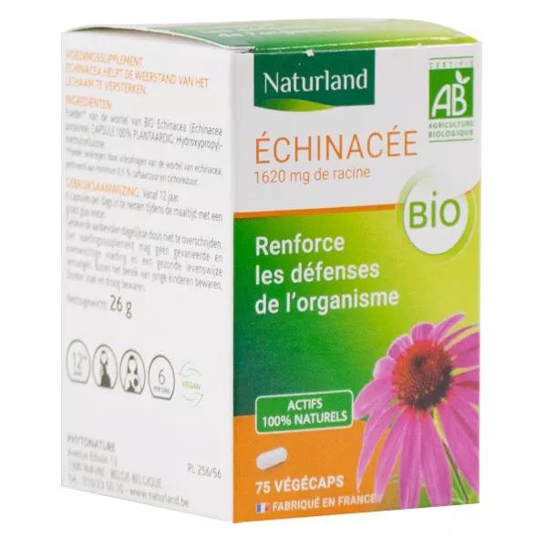 Naturland Equinácea Bio 75 cápsulas vegetales