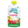 France Bébé Nutrition Gourde Multi-Fruits +4m Bio 100g