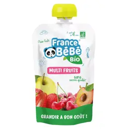 France Bébé Nutrition Gourde Multi-Fruits +4m Bio 100g