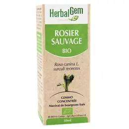 Herbalgem Macérat Concentré Rosier Sauvage Bio 30ml