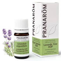 Pranarom Huile Essentielle Lavande Fine AOP 5ml