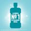 Listerine Menthol Mundspülung milder Geschmack 250 ml