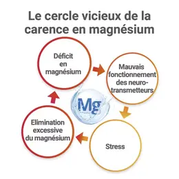 MAG 2 24H Magnésium Vitamine B6 Fatigue Nervosité 120 comprimés