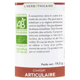 L'Herbôthicaire Curcuma Bio 60 gélules