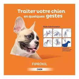 Clement Thekan Fiprokil Anti-Puces Anti-Tiques Chien 40-60kg 4 pipettes