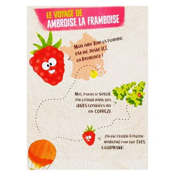 Vitabio Cool Fruits Apple & Strawberry + Acerola Pouch 12 x 90g 