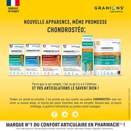 GRANIONS CHONDROSTEO+ MAX - Collagène Marin, Acide Hyaluronique, Curcuma -1 mois