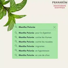 Pranarom Huile Essentielle Menthe Poivrée Bio 30ml