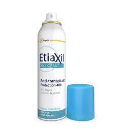 ETIAXIL Déodorant Anti-Transpirant Protection 48h Aérosol Lot de 2 x 150ml