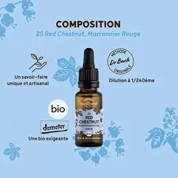 Biofloral Fleur De Bach 25 Red Chestnut Marronier Rouge Bio 20 ml