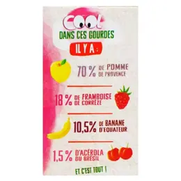 Vitabio Cool Fruits Pomme Framboise Acérola Bio 4 x 90g