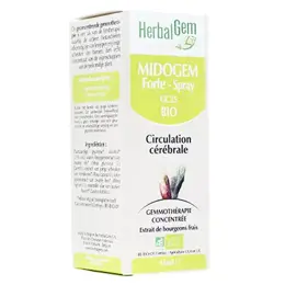 Herbalgem Complexe de Gemmothérapie Midogem Forte Circulation Cérébrale Bio 15ml