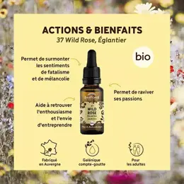 Biofloral Fleur De Bach 37 Wild Rose Eglantier Bio Demeter 20 ml