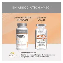 Biocyte Ginseng 5 Fort 40 gélules