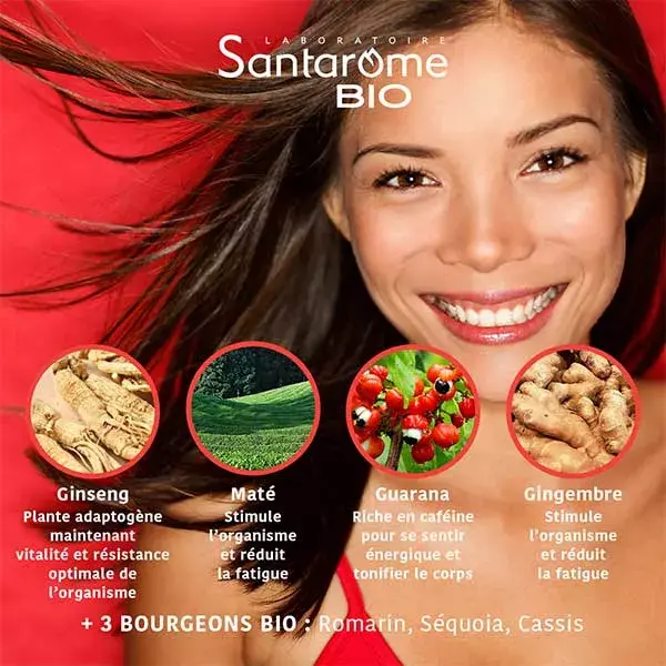 Santarome Bio Dynaboost Bio 14 sachets solubles