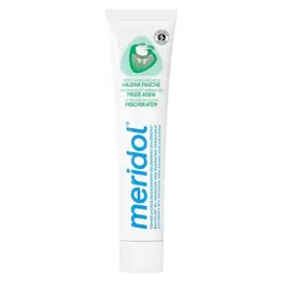 Meridol Dentifrice Protection Gencives et Haleine Fraîche 75ml