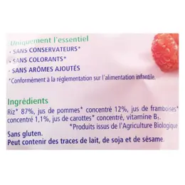 Hipp Bio Mon Goûter Plaisir Galettes de Riz à la Framboise +10m 30g