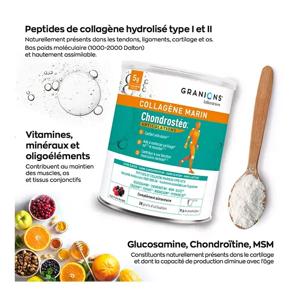 Chondrostéo+ Collagene Marino Confort Articulaire Gusto Fruits des Bois Poudre 280g