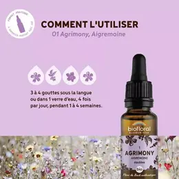 Biofloral Fleur De Bach 01 Agrimony Aigremoine Compte Gouttes Bio 20 ml