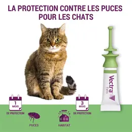 Vectra® Felis solution spot-on pour chats 3 pipettes