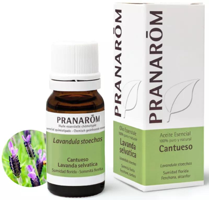 Pranarom Lavanda Sumidad Florida Bio 10 ml