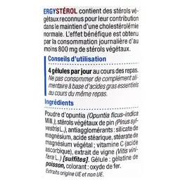 Nutergia Ergystérol 100 gélules