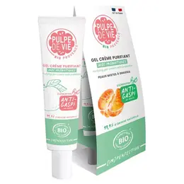 Pulpe de Vie Perfect Selfie Gel Crème Purifiant avec Prébiotiques Bio 40ml