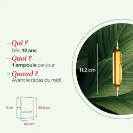 Superdiet Bouleau Bio 20 ampoules