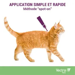 Vectra® Felis solution spot-on pour chats 3 pipettes