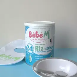 Bébé M Riz 3 en 1 Préparation de Céréales à Complément Protéinique +10m Bio 600g