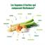 A.Vogel Herbamare Sal Marina Plantas y Legumbres Frescas Bio 250g
