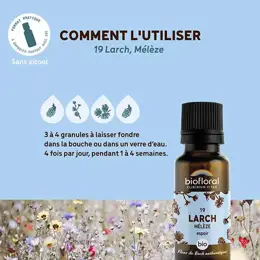 Biofloral 19 Larch Meleze Granules Bio Fleur De Bach Granules 19,5 Gr