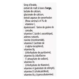 Salus Toniques Floradix- Kindervital 250ml