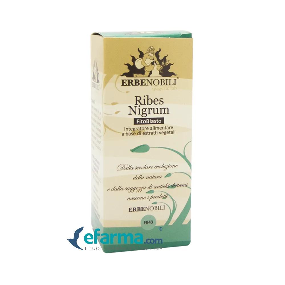 Erbenobili Ribes Nigrum Fitoblasto Gemmoderivato 50 ml