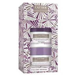 Cattier Argile Violette Baume et Gelée Exfoliante Corps Bio 200ml