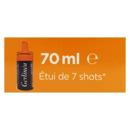 Gerlinéa Concentré Ananas et Citrus Destock 70ml