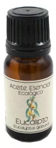 Labiatae Eucalyptus Huile Végétale Bio 12 ml