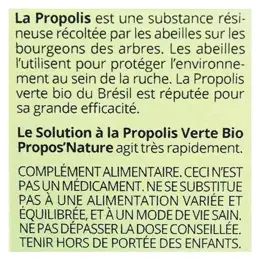 Propos' Nature Apithérapie Extrait de Propolis Verte du Parana Bio 20ml