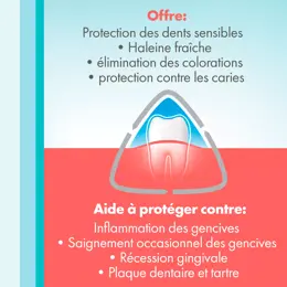 Méridol Soin Complet Dentifrice Lot de 2 x 75ml