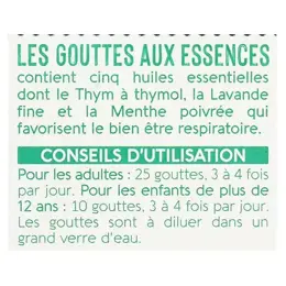 Naturactive Les Gouttes aux Essences 90ml