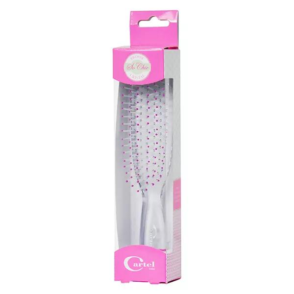 Cartel de Vitry de pequeño cepillo de pelo rosa de cristal