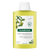 Klorane Cider Pulp Shampoo 200ml