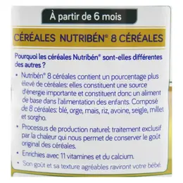 Nutribén Innova Lait de Suite 2ème Age 800g