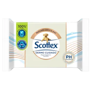 Moist toilet paper Remus Spa feeling 66 uds