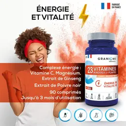 Granions 23 Vitamines Énergie Vitalité 90 comprimés