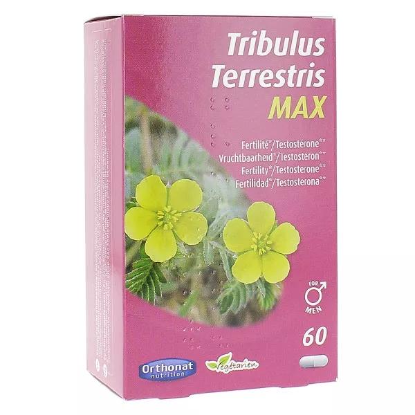 Orthonat Tribulus Terrestris MAX 60 capsules