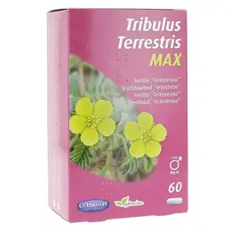 Orthonat Tribulus Terrestris MAX 60 gélules